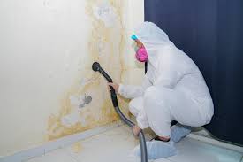 Best Black Mold Removal  in Ephrata, WA